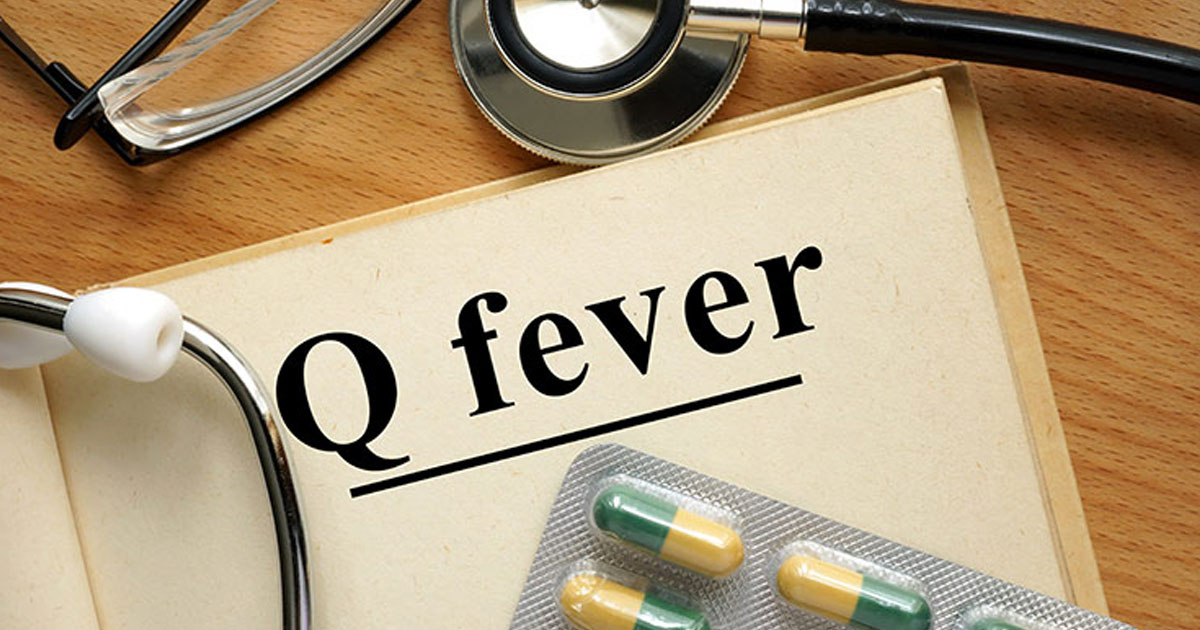 Q FEVER CLINIC - Bulk Billed Health Central Doctors